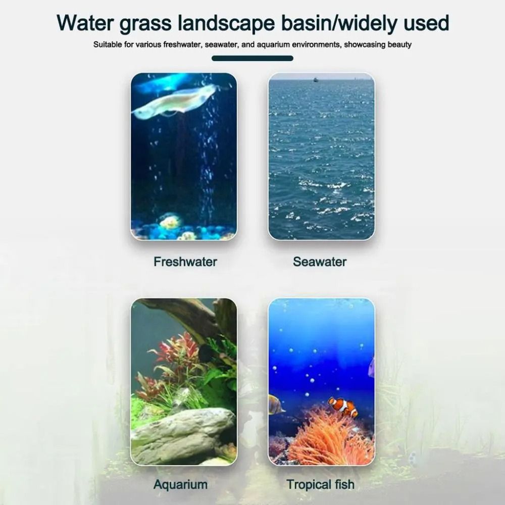 10Pcs Transparent Plant Hydrop - đánh giá và giá Hydroponic Grow Pod