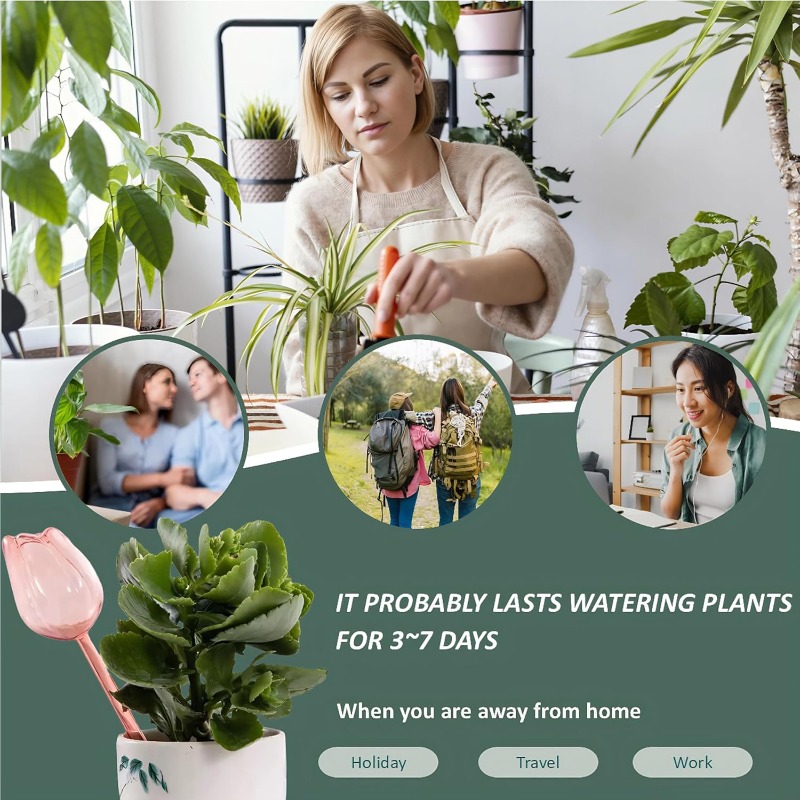 Pink Tulip Plant Watering Ball - đánh giá và giá Plant Sensor