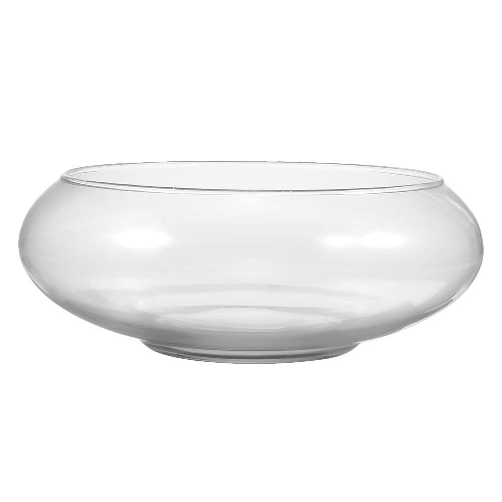 Wide Mouth Glass Vase Narcissu - đánh giá và giá Hydroponic Grow Pod