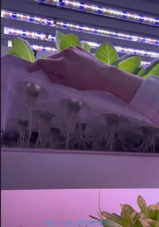 f Greenhouse Agricultural Equi - đánh giá và giá Hydroponic Tower