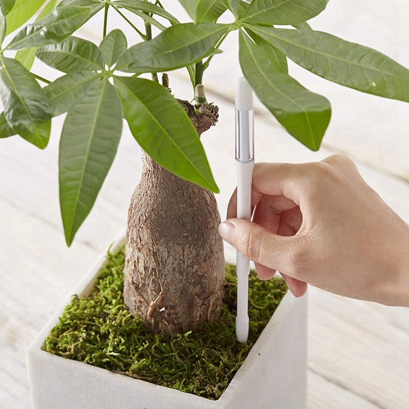 Aquameter, 5pcs, Plant Soil Mo - đánh giá và giá Plant Sensor