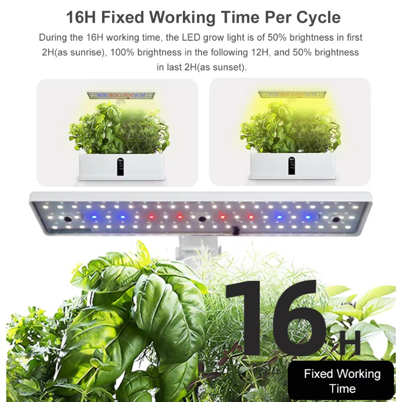 9 Pods Smart Hydroponics Growi - đánh giá và giá Smart Garden Kit