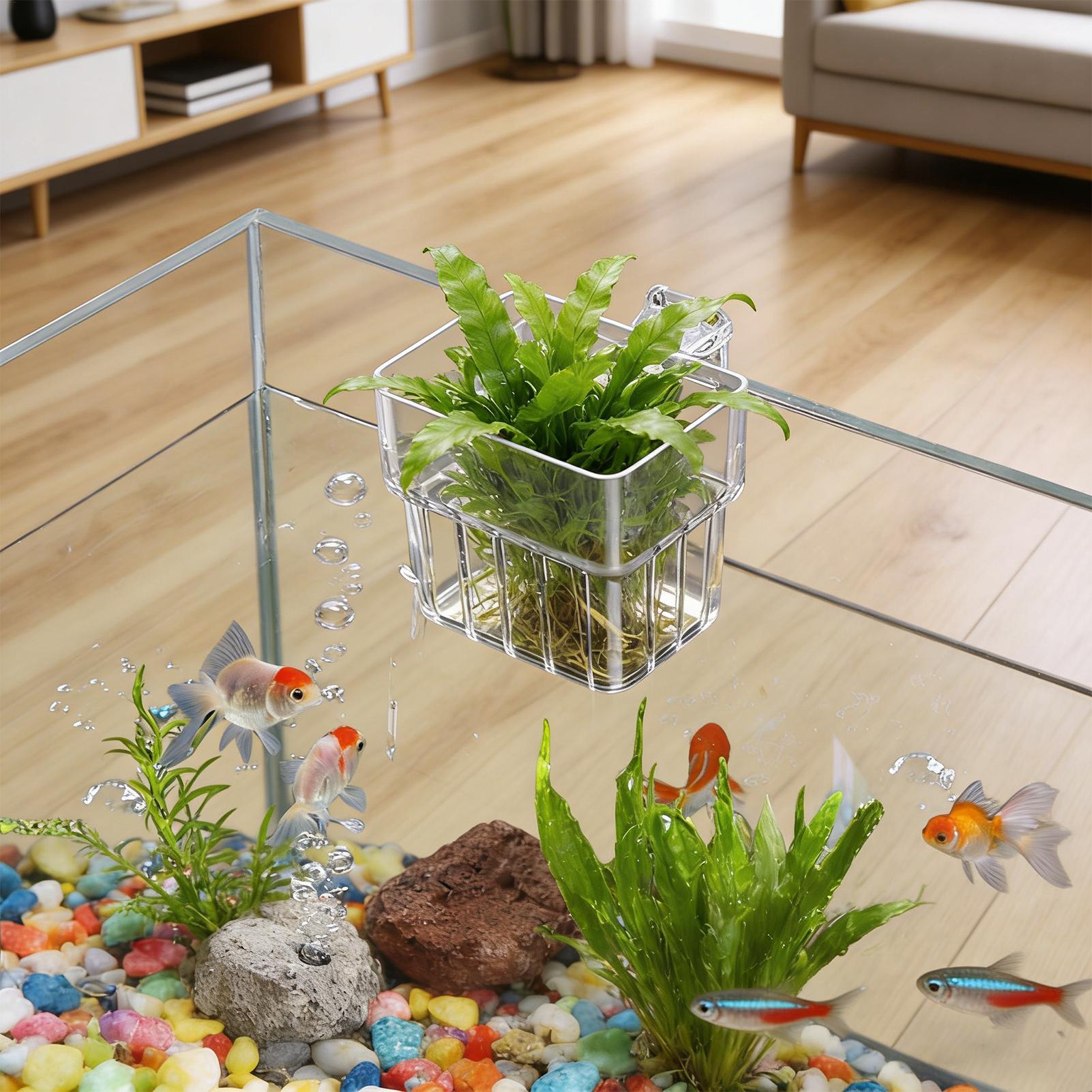 Transparent Hangable Aquarium  - đánh giá và giá Hydroponic Grow Pod