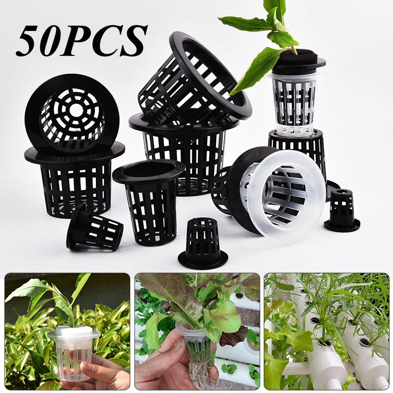 50Pcs Black White Soilless Mes - đánh giá và giá Hydroponic Grow Pod
