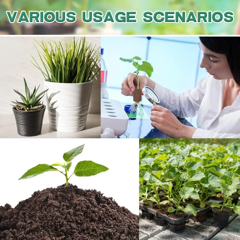 Seedling Starter Sponge Kit fo - đánh giá và giá Indoor Garden Kit