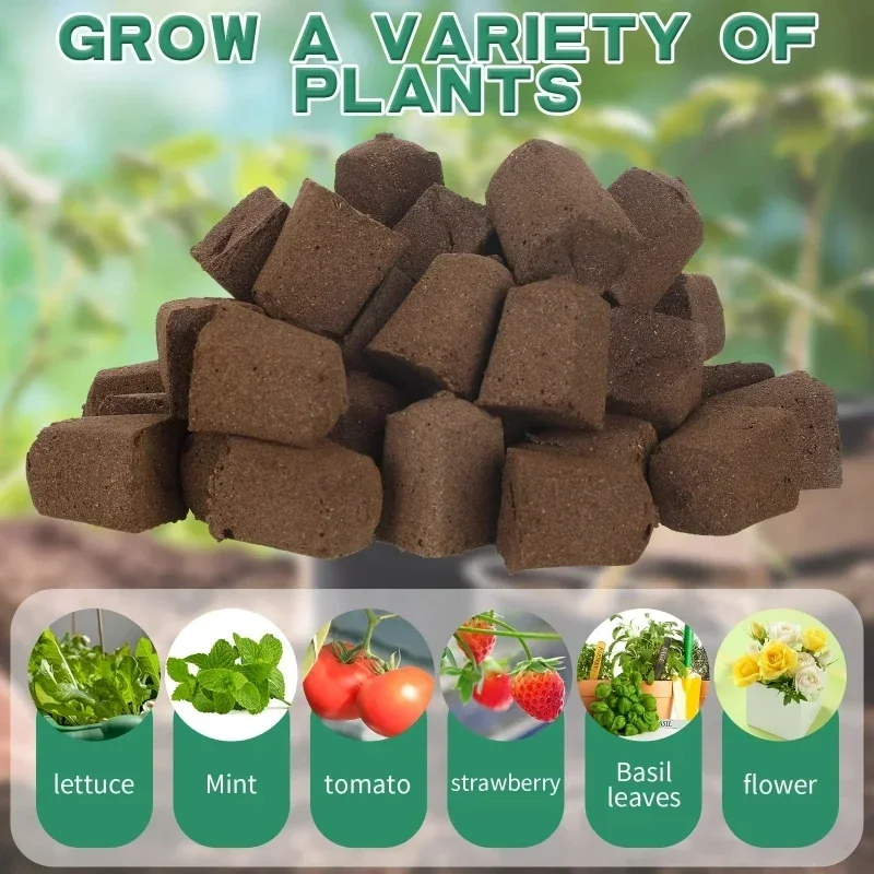 Seedling Starter Sponge Kit fo - đánh giá và giá Indoor Garden Kit