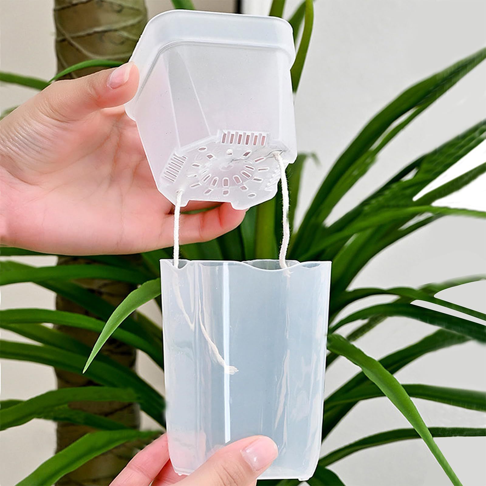 16/32 Pack Self-Watering Plant - đánh giá và giá Plant Monitor