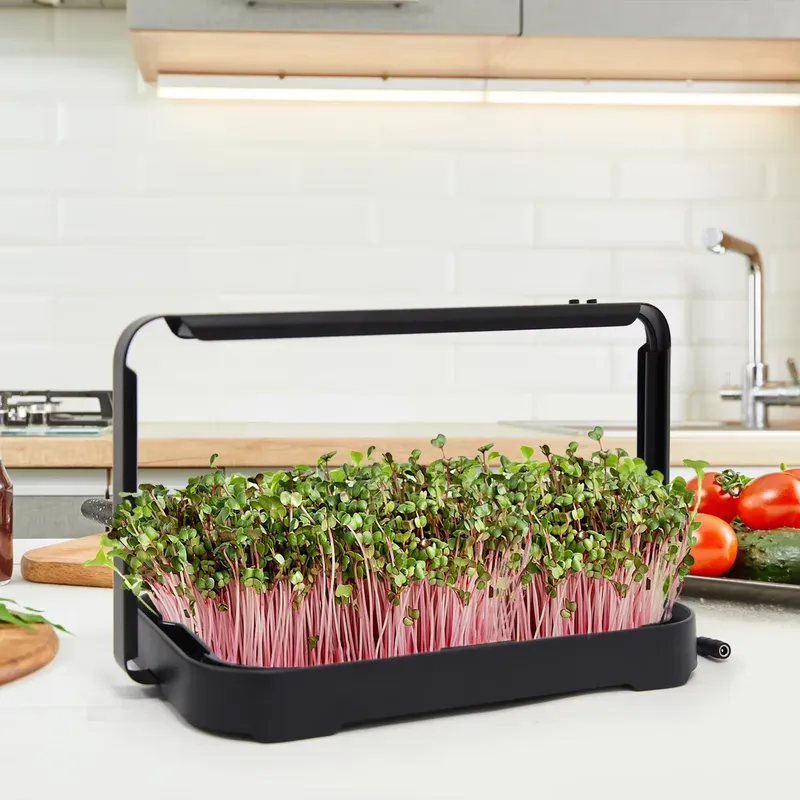 Hydroponic Tray Indoor Microgr - đánh giá và giá Smart Garden Kit